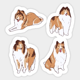 Collie dog pack Sticker